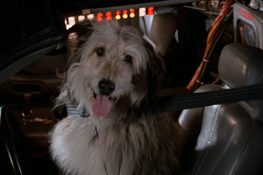 "Es lo más cercano a la perfección que puedes encontrar"