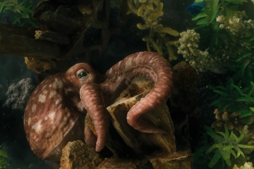 Últimos días para ver en Netflix uno de los mayores fracasos de la historia. Costó 233 millones y hasta su protagonista echó pestes de ella