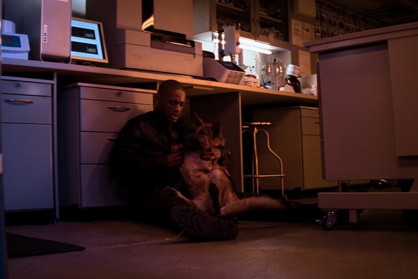 "No es fácil conseguir que un perro entienda eso"