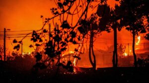 Aumenta a 51 el número de muertos por los incendios forestales en Chile