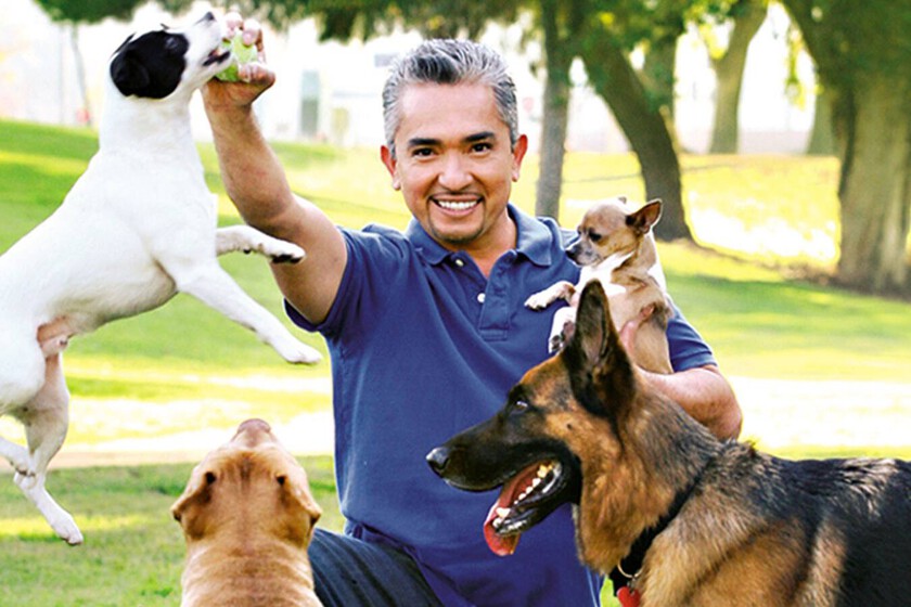 Qué fue de César Millán, de encantador de perros a caer en una depresión y construir un rancho de rehabilitación