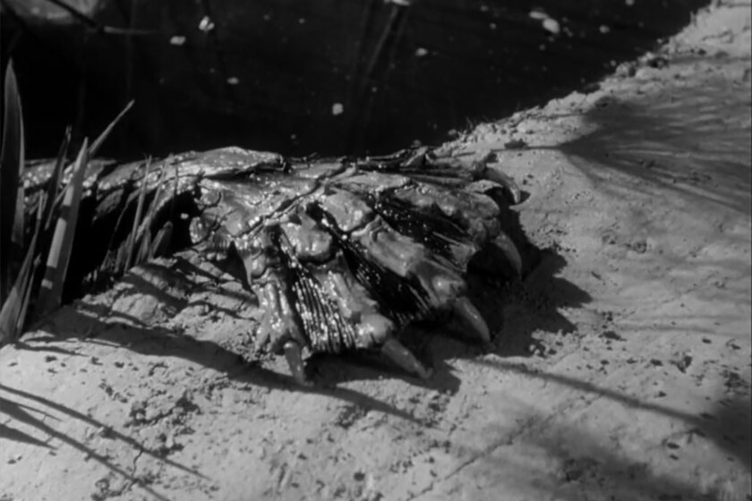 70 años de una de las mejores películas de monstruos de la historia. Una mezcla de terror y ciencia ficción que marcó a directores como Guillermo Del Toro y que puedes ver en SkyShowtime