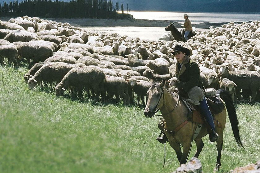 Hoy en TV, el drama romántico que merecía el Oscar de mejor película y reafirmó a Heath Ledger como algo más que una cara bonita