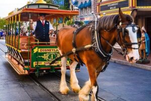La historia del matrimonio que trabajó para Walt Disney y que hizo que los caballos fueran su animal favorito dentro y fuera de sus películas