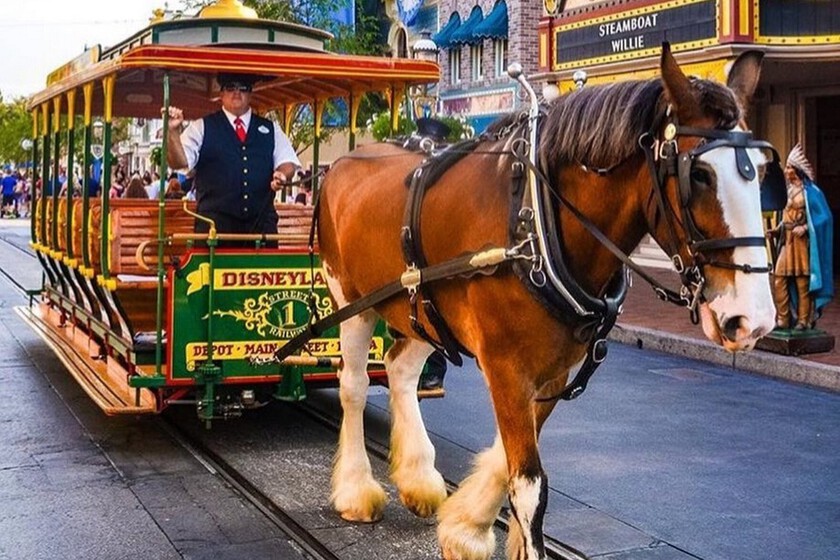 La historia del matrimonio que trabajó para Walt Disney y que hizo que los caballos fueran su animal favorito dentro y fuera de sus películas