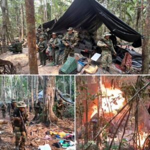 FANB desmantela campamento de minería ilegal en Amazonas