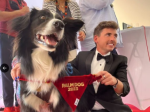 Messi, el perro actor que brilló en los premios Oscars