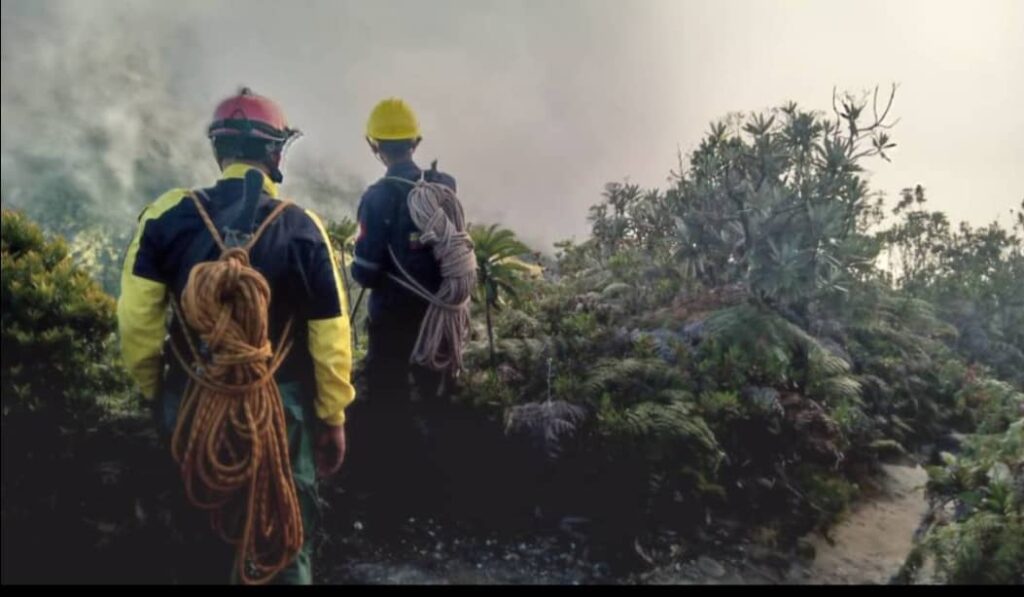 Desaparecieron dos adultos y tres menores en el parque Warairarepano