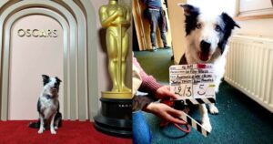 Messi sorprendió al público al estar presente en los Óscar 2024 [+Guau guau]