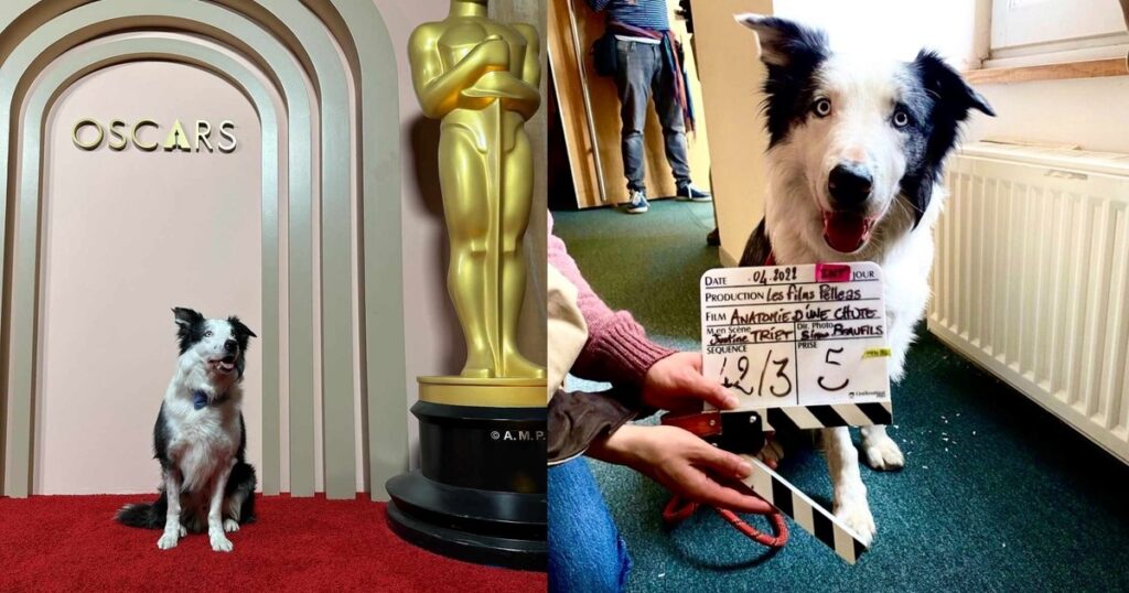 Messi sorprendió al público al estar presente en los Óscar 2024 [+Guau guau]