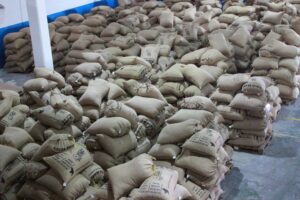 Venezuela exportó más de 300 toneladas de cacao a Estonia e Indonesia