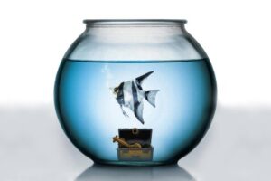 Hoy en TV, una de las películas más divertidas de la historia del cine. Un comedia para partirse de risa que sigue siendo imbatible 36 años después de su estreno