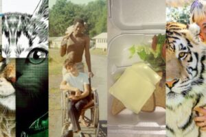 Los 17 mejores documentales en Netflix