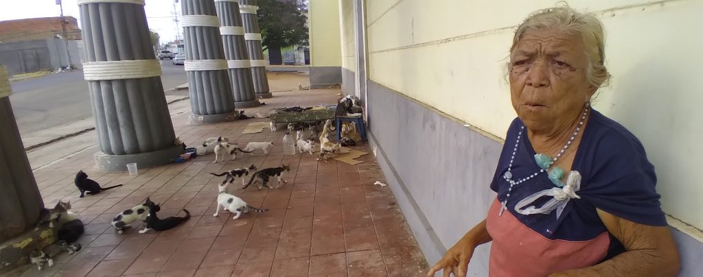 Ana Margarita y sus 80 gatos sobreviven en el templo del Faraón de Maracaibo 