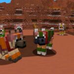 Armadillos y variantes de lobos llegan a Minecraft con su nueva actualización
