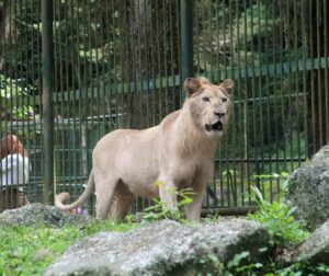 Chorros de Milla, una experiencia extrema