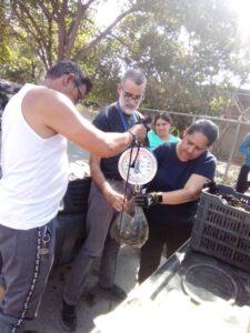 Distribuyen más de dos toneladas de mejillones en el estado Sucre