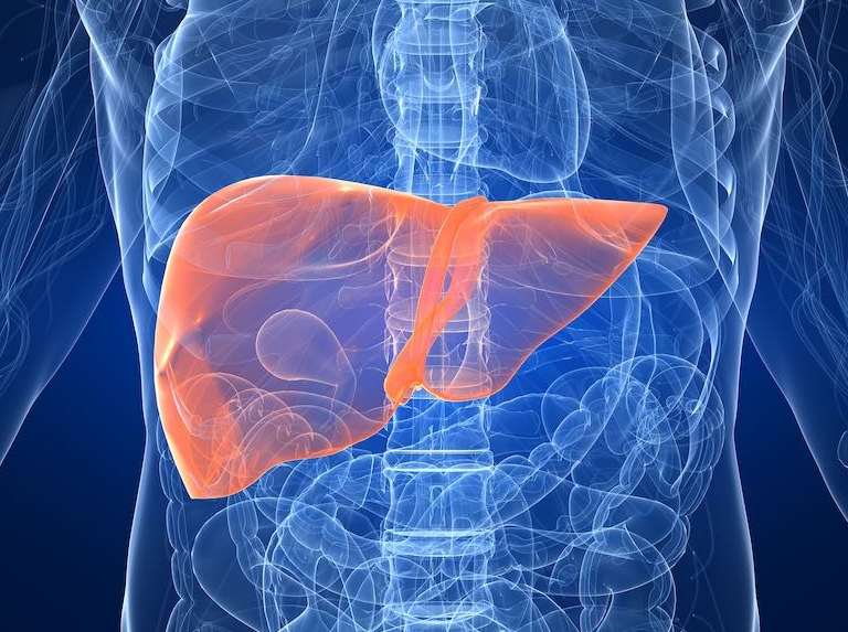 Ejercicio regular y otras formas de evitar el hígado graso