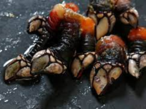 “El vagabundo oceánico”, la foto ganadora del British Wildlife 2024