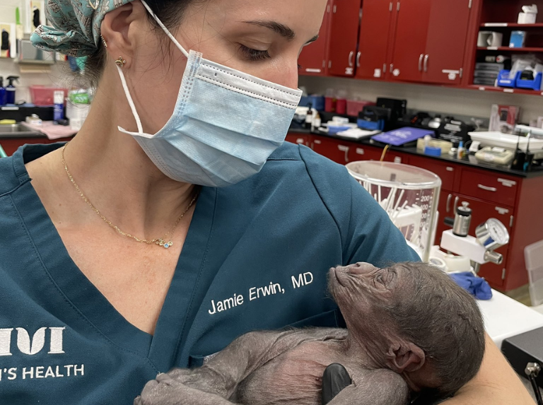 Un equipo de veterinarios y cuidadores, se han encargado de cubrir sus necesidades, ha crecido muy rápido
