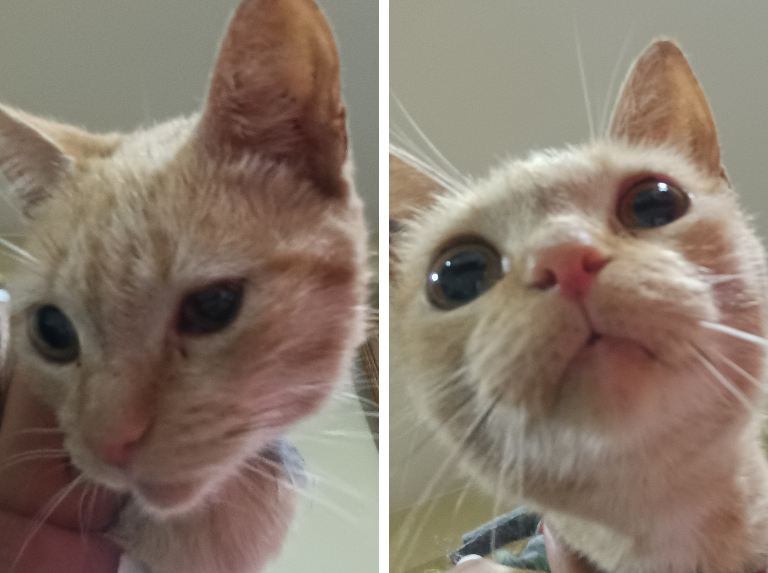 Ella es Miel, la mamá, de un basurero por San Martín, Caracas