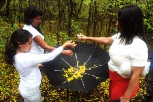 Seis mil zulianos disfrutaron el florecimiento de los curarires en el Jardín Botánico
