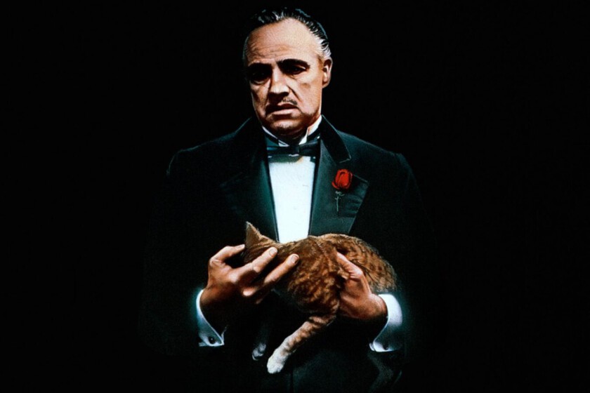 El gato de 'El padrino' que casi arruina una de las escenas más icónicas de la película