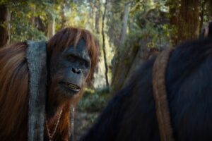 El público dicta sentencia sobre 'El reino del planeta de los simios' y afirma que es la peor de la saga desde el remake de Tim Burton y un punto bajo en la carrera de Wes Ball