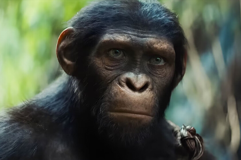 "Puede molestar a algunas personas"