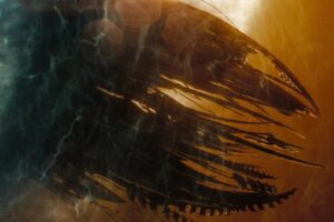 Hoy en TV, una de las mejores trilogías de ciencia ficción del siglo XXI. Las entretenidísimas películas que relanzaron una de las sagas más míticas de la historia