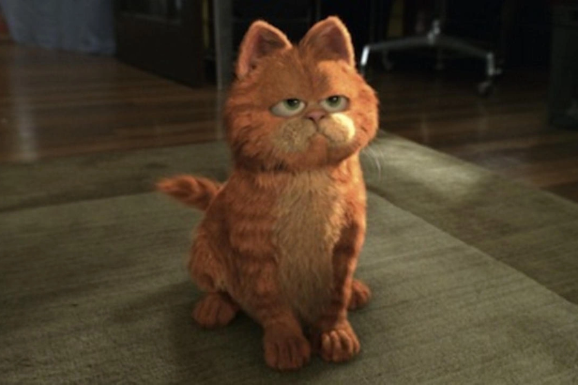 Disney+ México tiene la otra película del gato naranja que ni siquiera Bill Murray pudo salvar