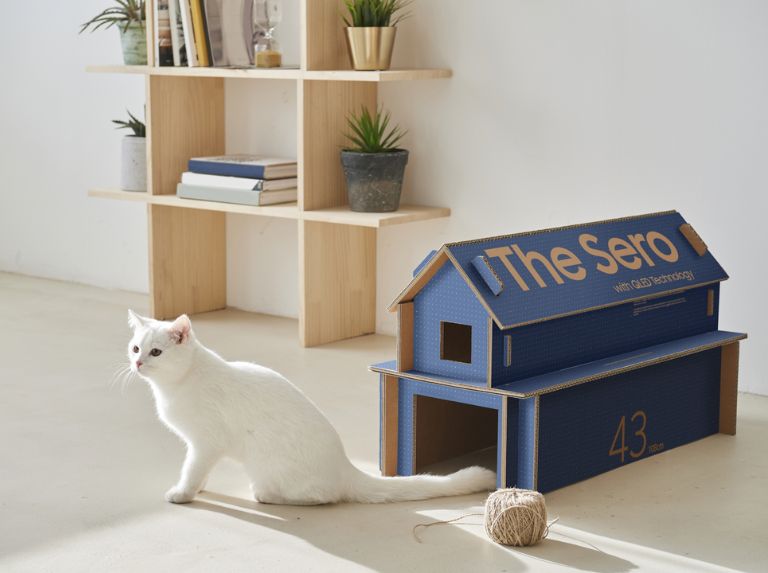 La caja del televisor transformada en la casa del Michi