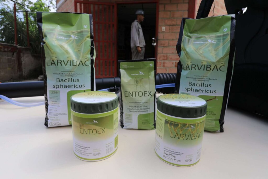 Combaten mosquitos con bioinsecticidas criollos