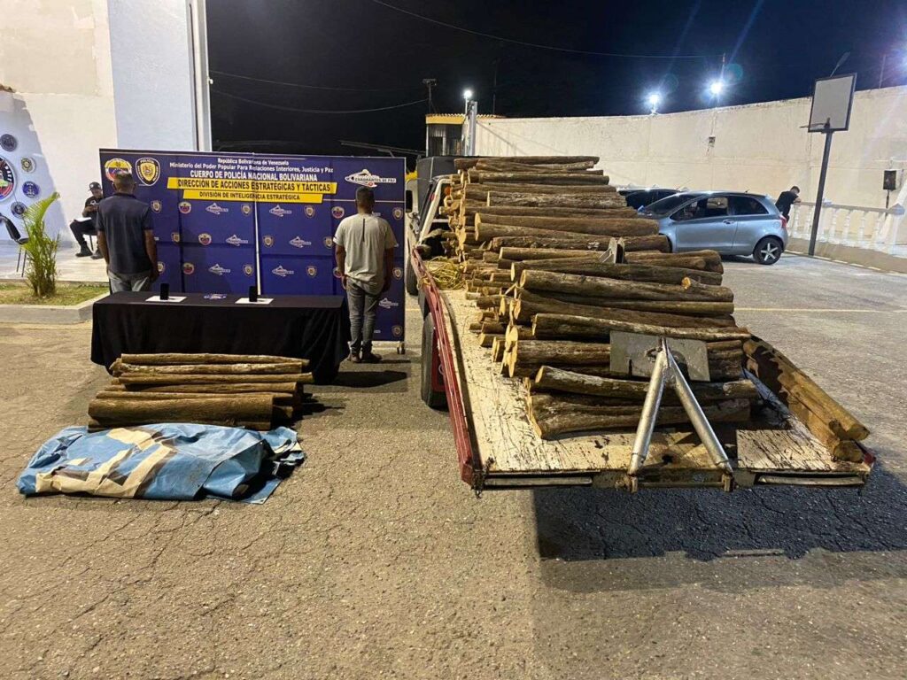 Detienen a 2 hombres que transportaban madera ilegal en Yare