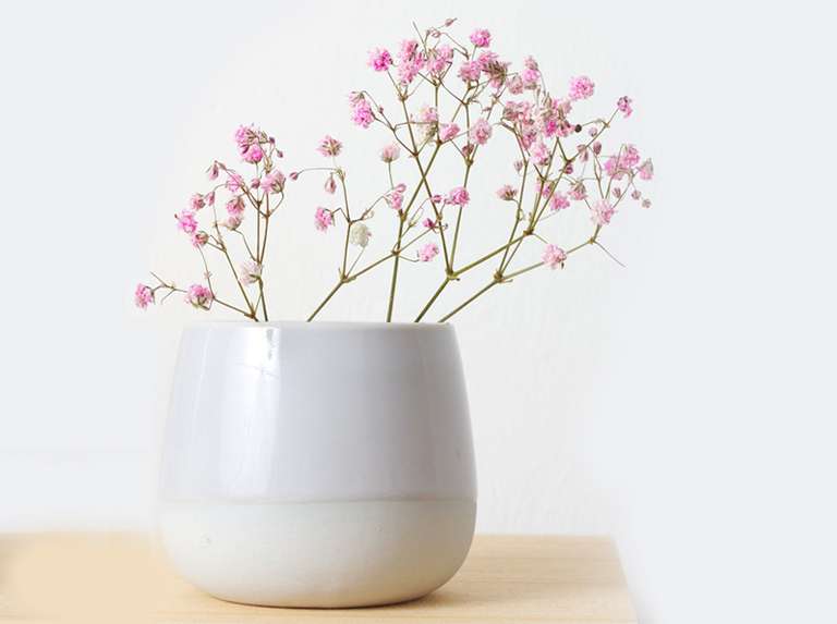 Las flores aportan prosperidad - Últimas Noticias