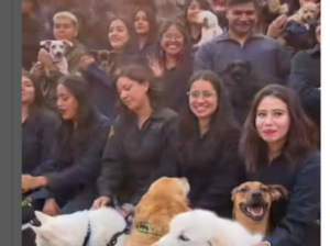Se llevaron a sus perritos para recibirse como veterinarios y se hace viral