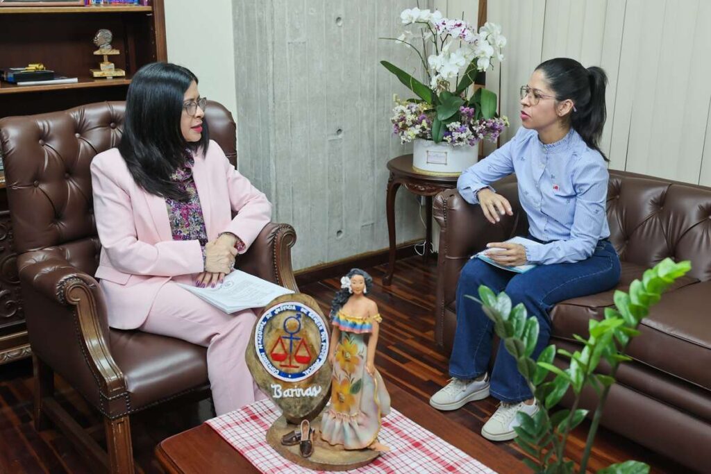 TSJ y MinMujer unen fuerzas contra la violencia de género