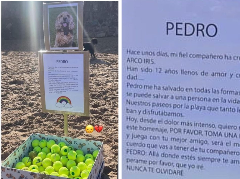 Un hombre deja una cajas de pelotas en una playa para honrar a su perro