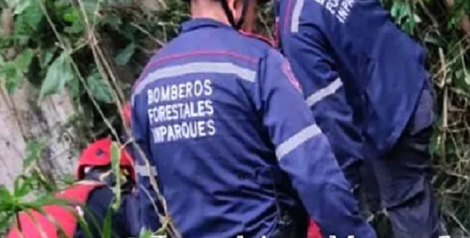 Un abogado se lanzó al vacío en un viaducto de Mérida