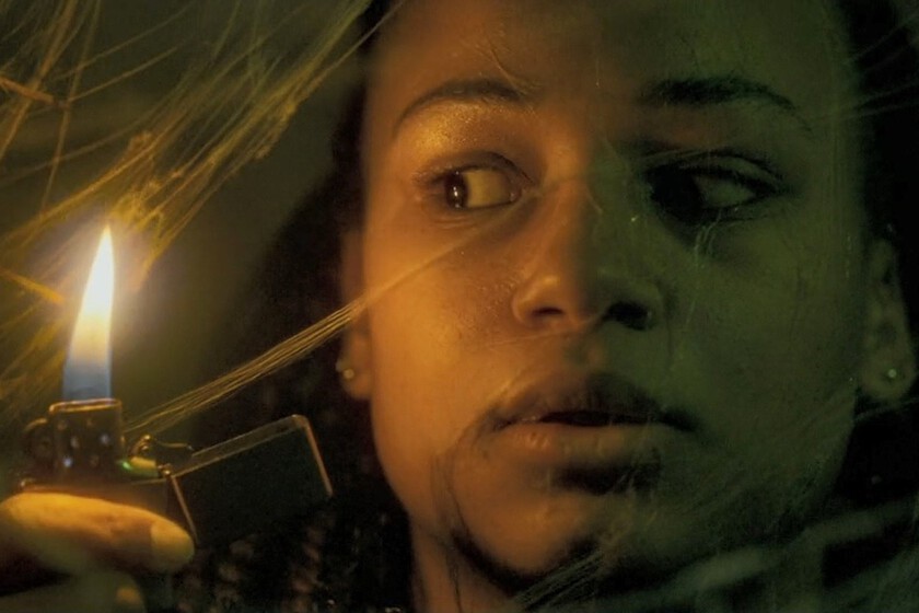 Es una de las grandes sorpresas del cine de terror este año y acaba de estrenarse en streaming. Pura tensión y horror para los que temen ver un bicho en su casa