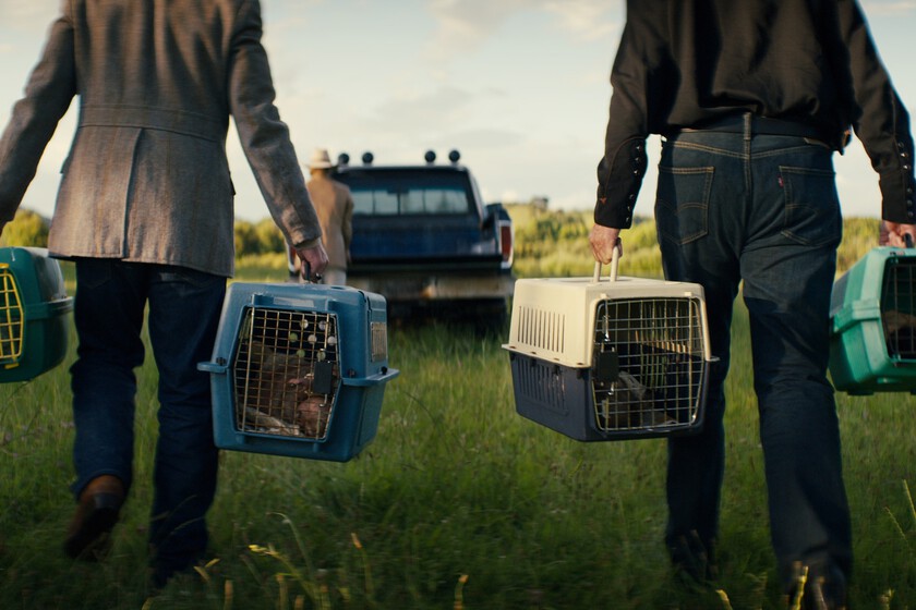 Netflix acaba de estrenar el final de una de sus mejores series de ciencia ficción. Ya puedes ver sin miedo a que sea cancelada esta notable fantasía postapocalíptica