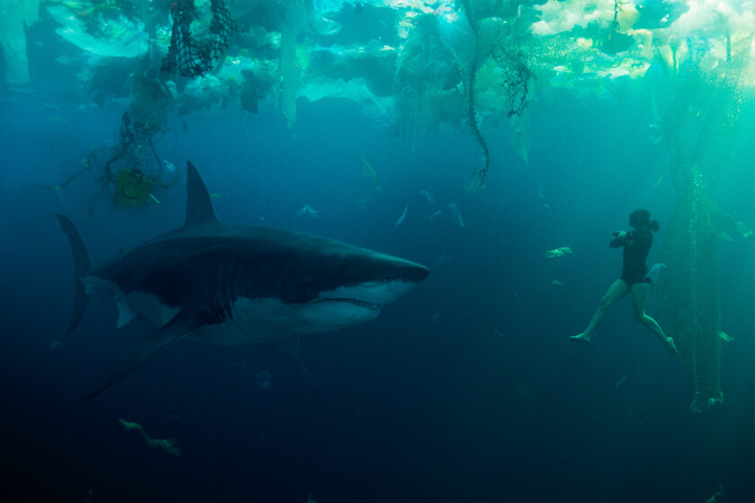 "Es una vergüenza, hasta 'Megalodón 2' es más coherente". Los científicos están indignados tras el estreno de la película de tiburones de Netflix 'En las profundidades del Sena'