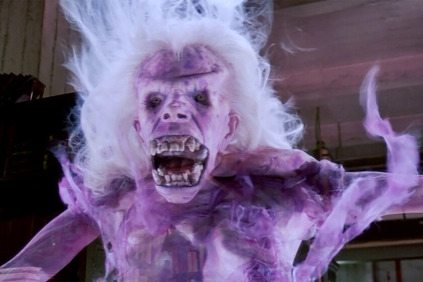 40 años de una de las comedias más populares de la historia. Ciencia ficción y terror sobrenatural con un reparto legendario que puedes ver en streaming