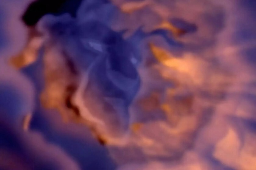 30 años de una de las mejores películas de animación de la historia. Tragedia shakesperiana en clave animal que sigue fascinando y que puedes ver en Disney plus