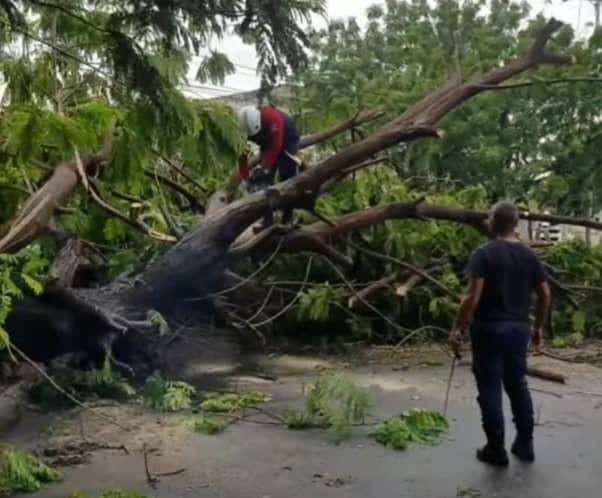 Aguacero inundó varios sectores de Cabimas