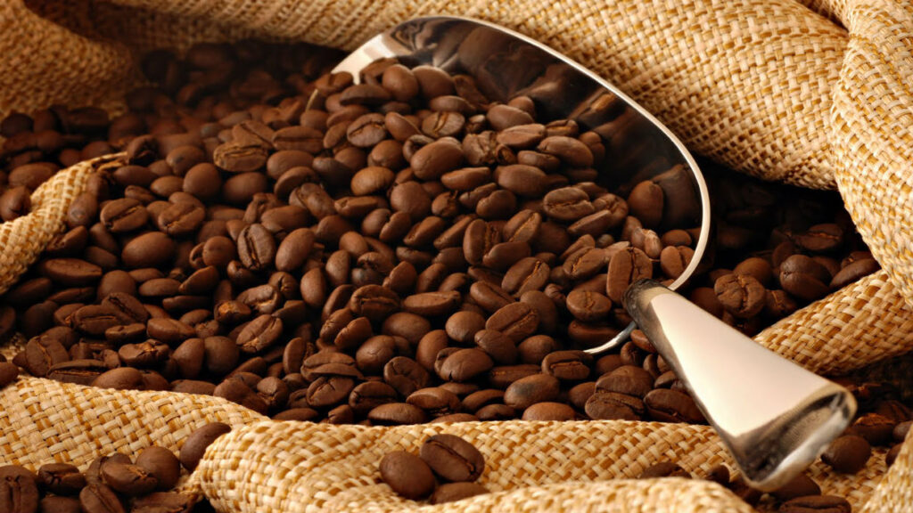 Esperan que la producción de café en Venezuela este año supere el millón de quintales