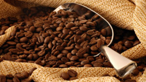 Esperan que la producción de café en Venezuela este año supere el millón de quintales
