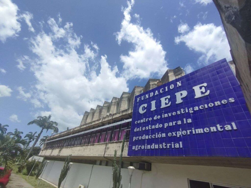 Investigan obtención de pectina desde la cáscara de la parchita