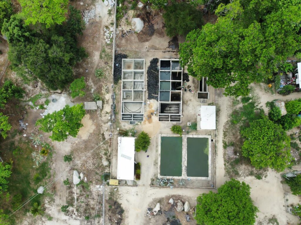 Rehabilitan planta de tratamiento para aguas servidas en Choroní