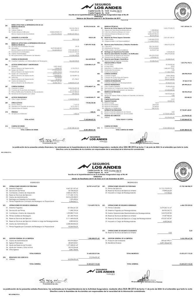 Seguros Los Andes Estados Financieros al 31-12-2019